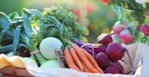 mold detox diet