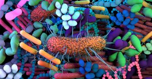 the-gut-microbiome