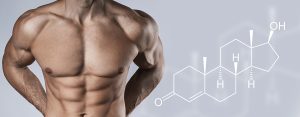 Optimizing-Testosterone