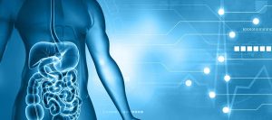 Connecting-Bone-and-Gut-Health-1
