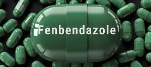 Fenbendazole-1-1