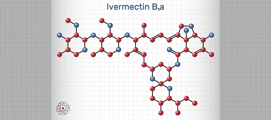 Integrating the Study's Findings