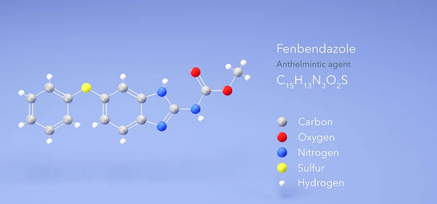 Functional Chemo-Sensitivity vs RGCC Cancer Testing: Understanding Options for Personalized Care